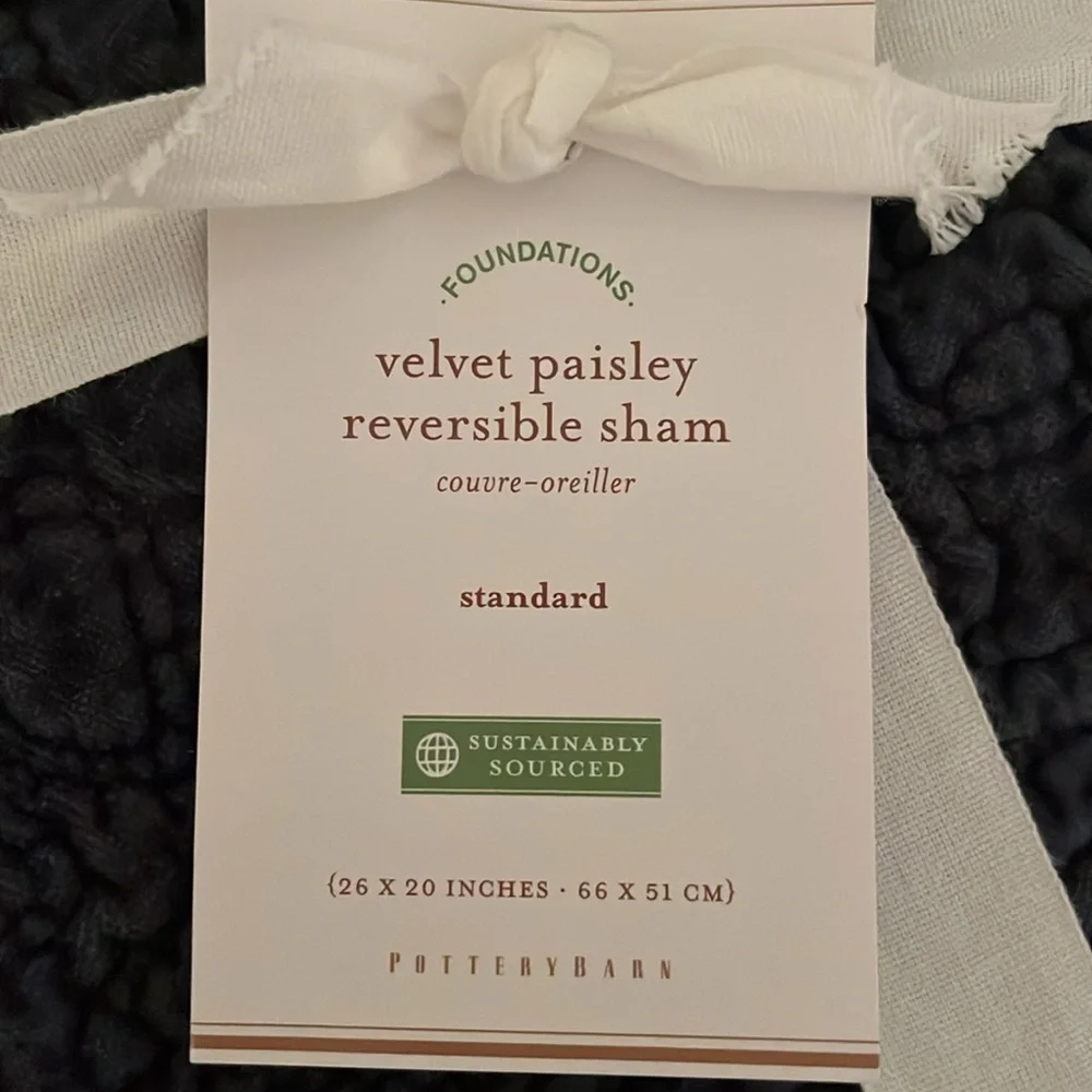 Pottery Barn pillow shams set of two NWT